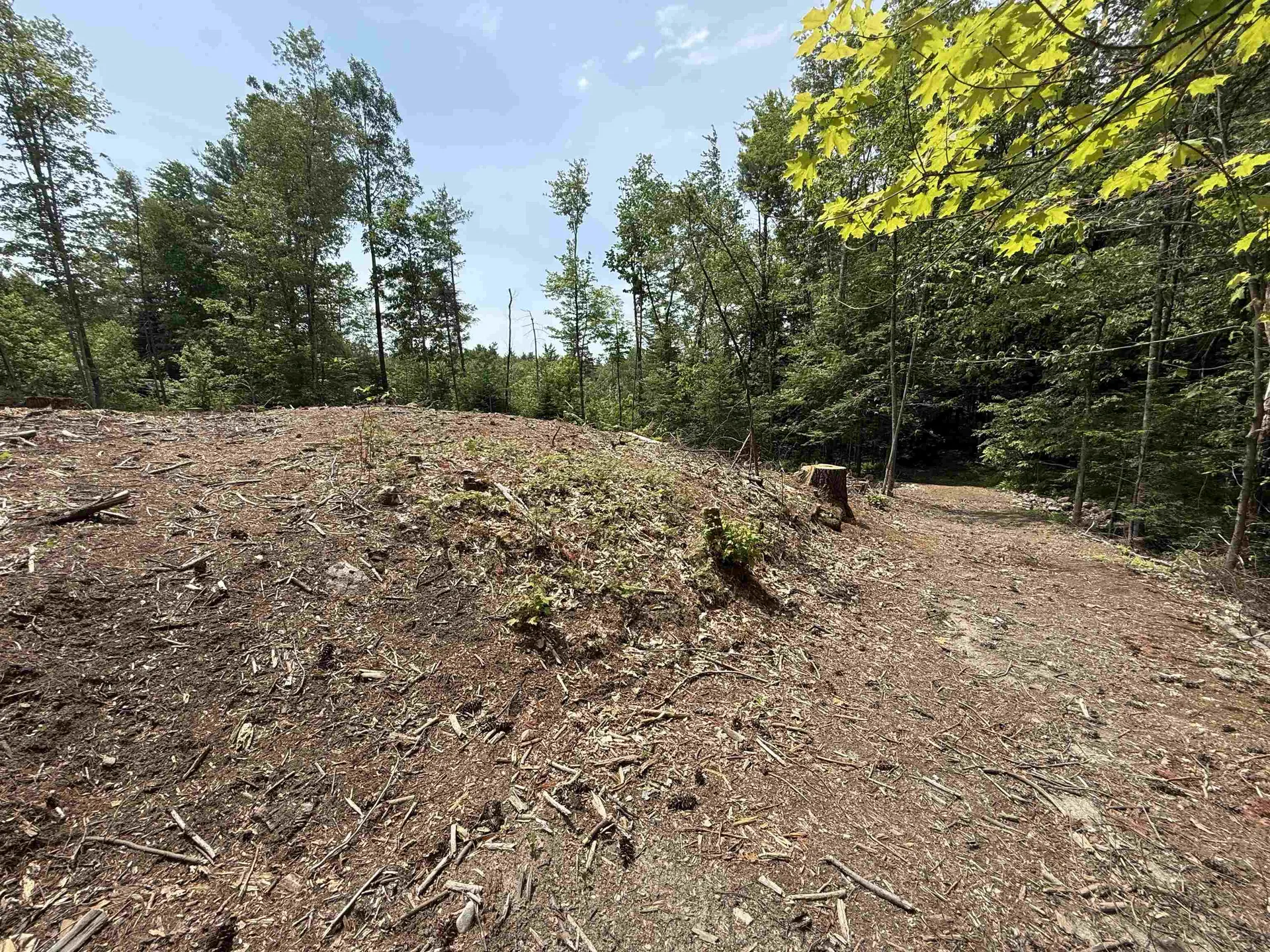 51 Pineridge Road Middleton NH 03887