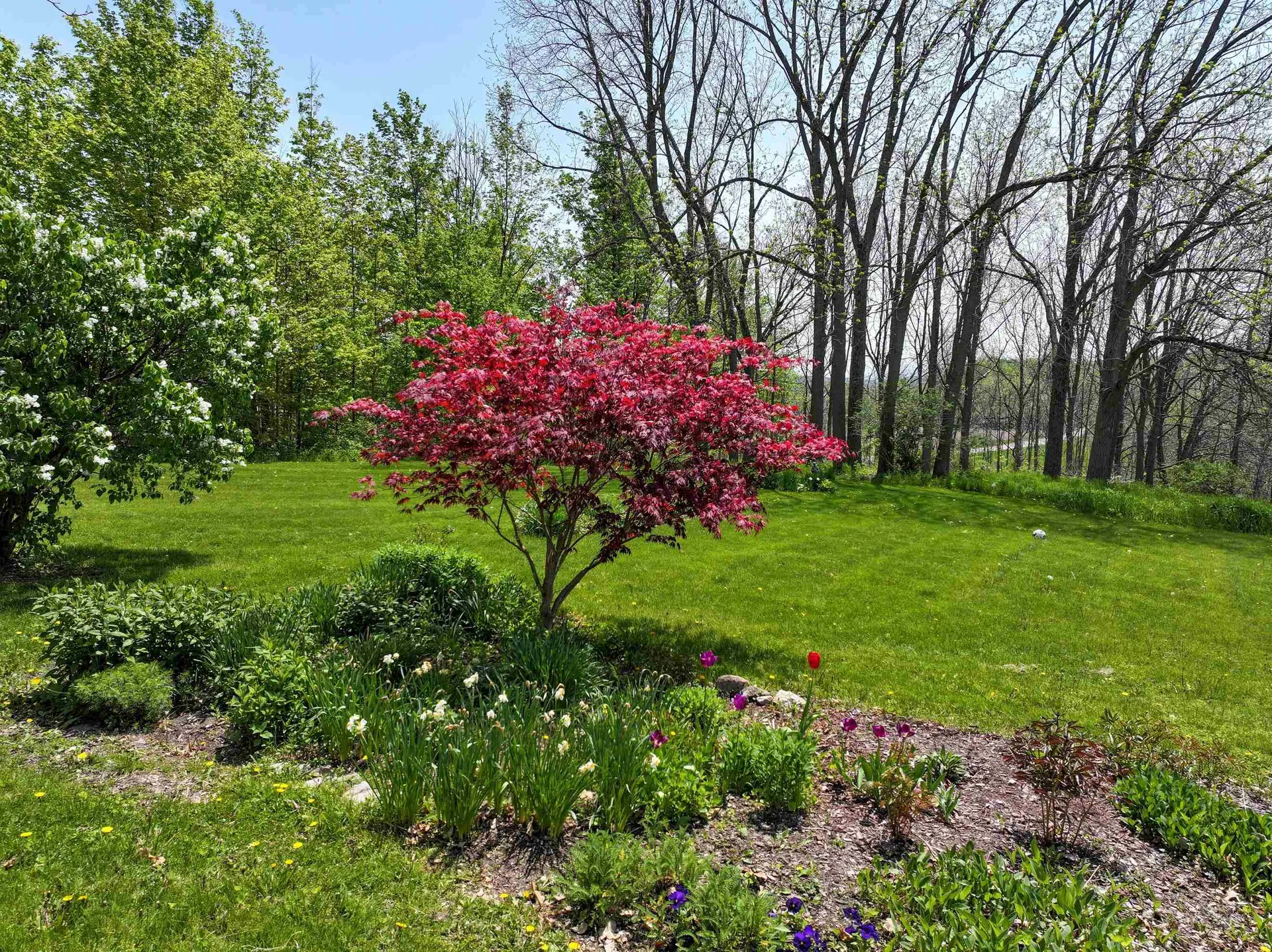 1844 Halladay Road Middlebury VT 05753