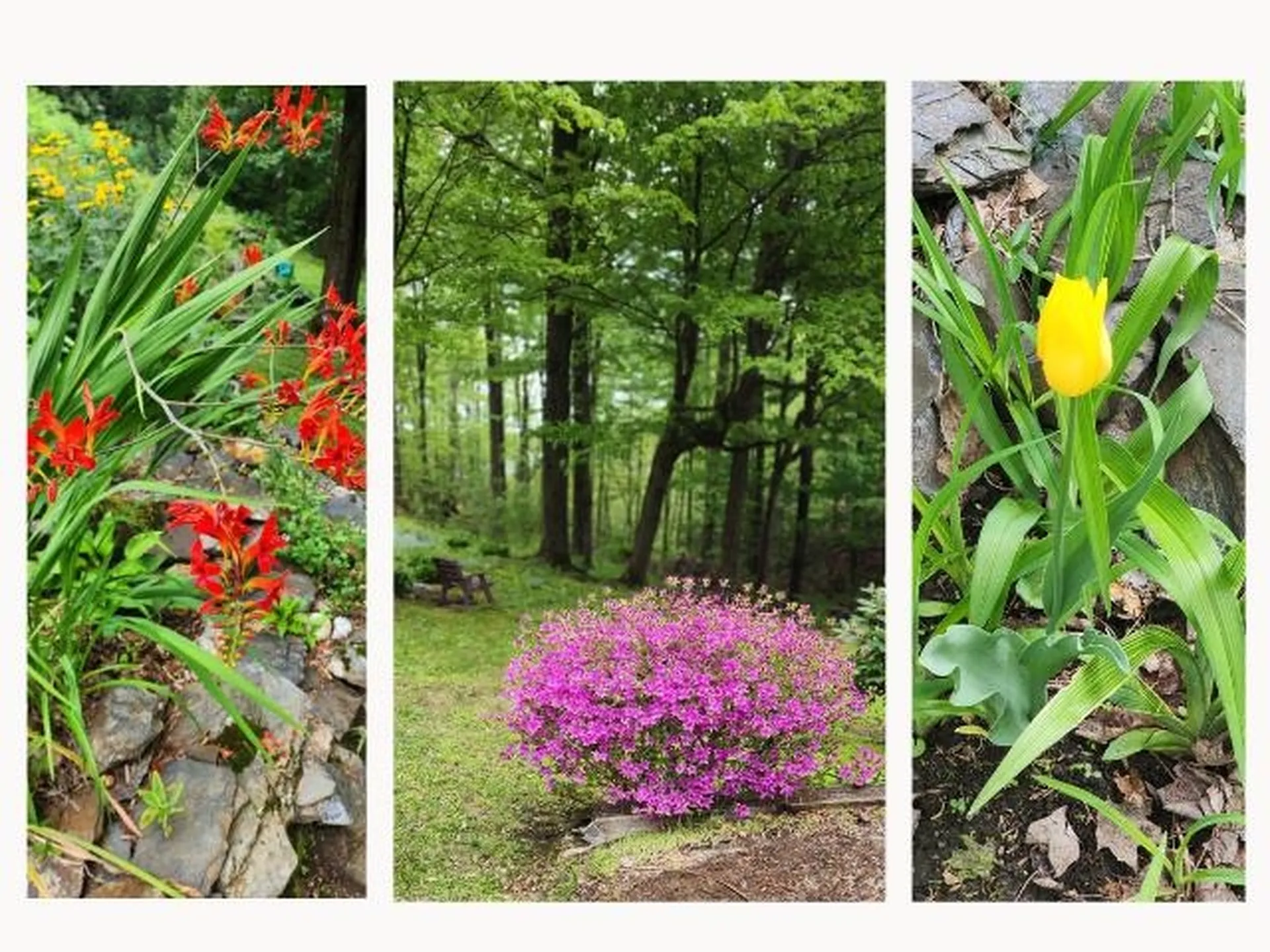 25-27 Gingko Lane Brattleboro VT 05301