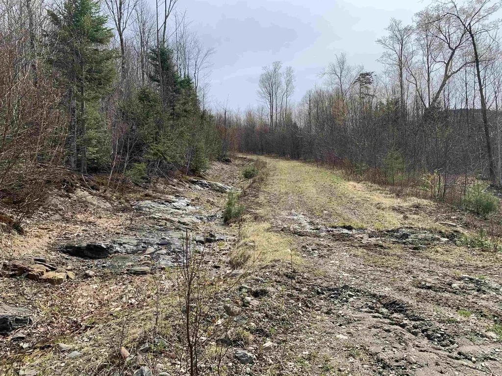Lots 13 & 22.4 Washburn Road Columbia NH 03576