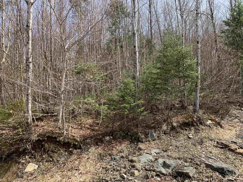Lots 13 & 22.4 Washburn Road Columbia NH 03576