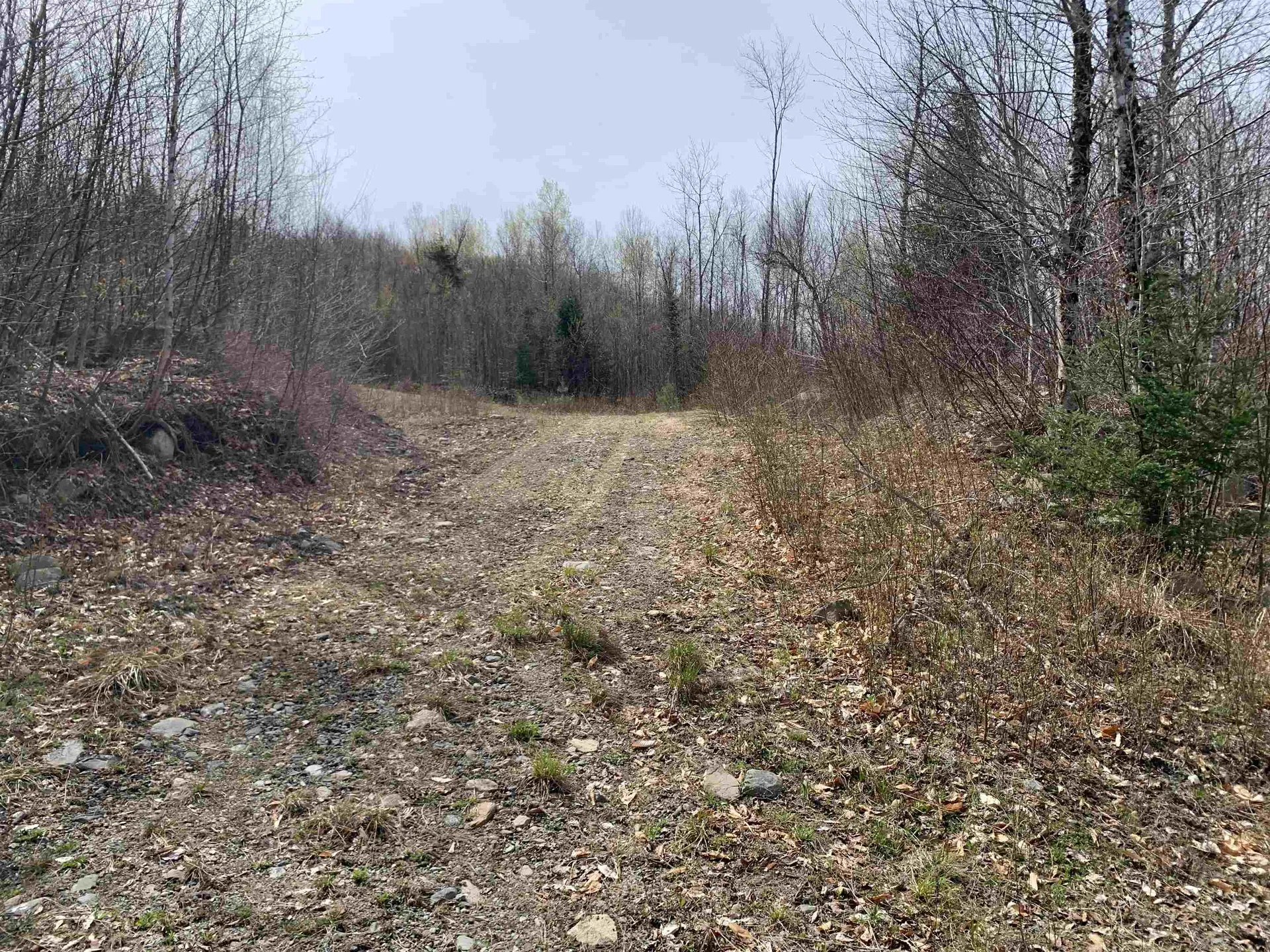 Lots 13 & 22.4 Washburn Road Columbia NH 03576