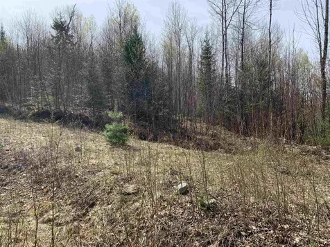 Lots 13 & 22.4 Washburn Road Columbia NH 03576