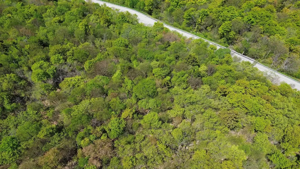 2016 Roxbury Mountain Road Warren VT 05674