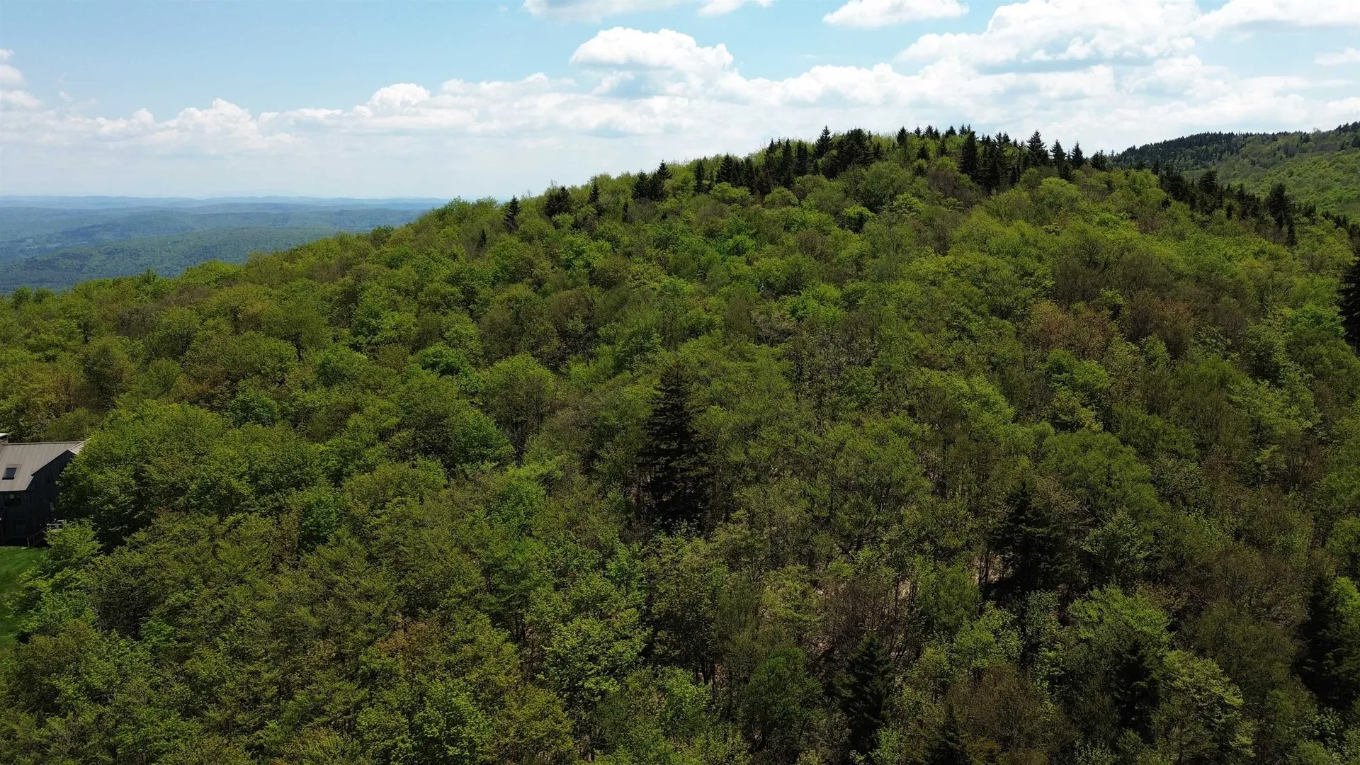 2016 Roxbury Mountain Road Warren VT 05674