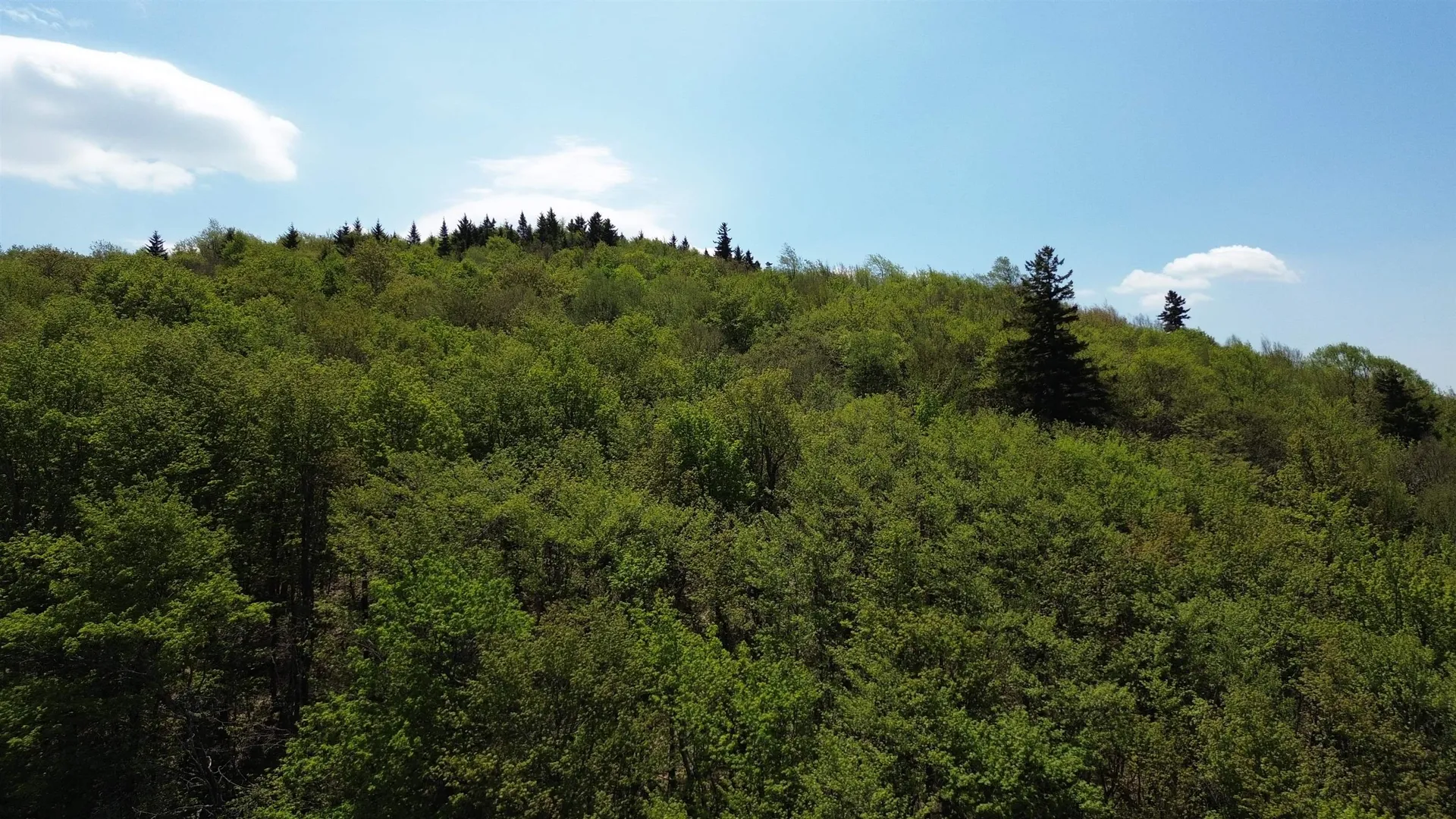 2016 Roxbury Mountain Road Warren VT 05674