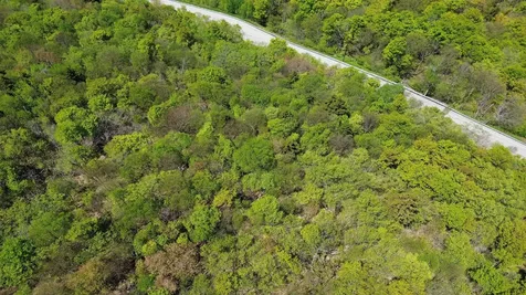 2016 Roxbury Mountain Road Warren VT 05674