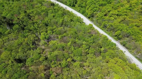 2016 Roxbury Mountain Road Warren VT 05674