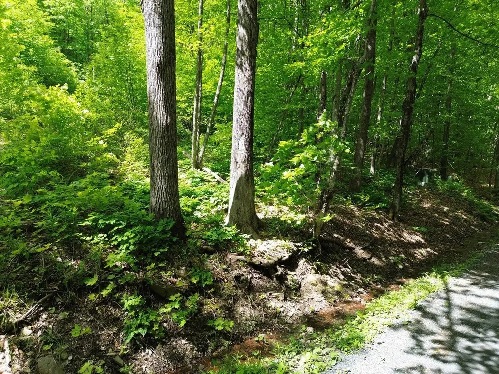 197 Sugar Ledge Road Warren VT 05674