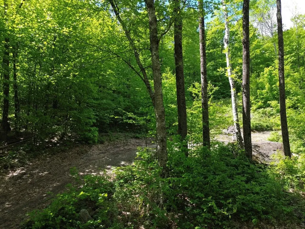 197 Sugar Ledge Road Warren VT 05674