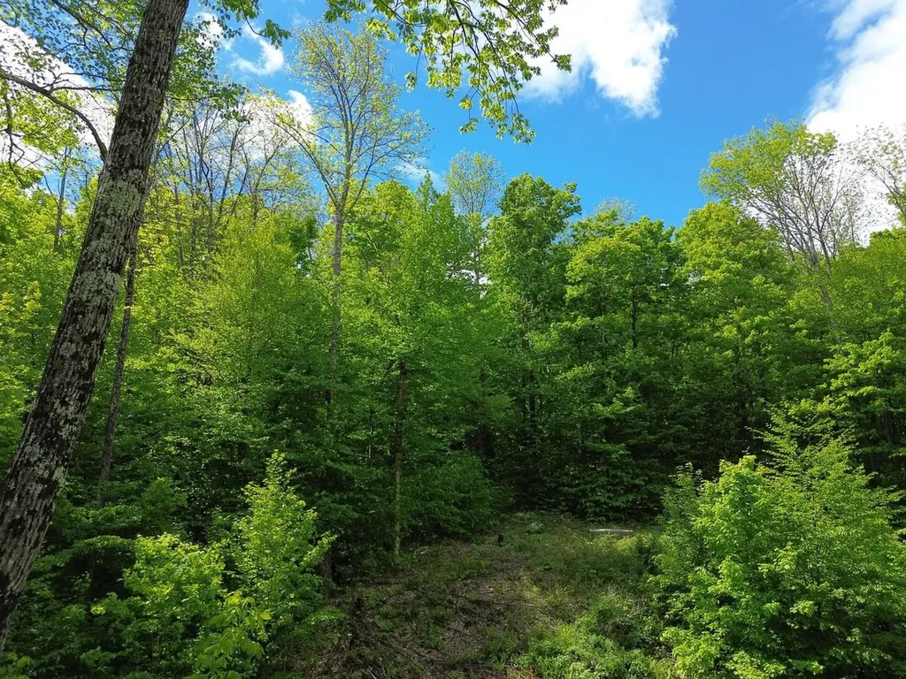 197 Sugar Ledge Road Warren VT 05674