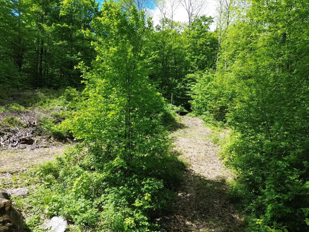 197 Sugar Ledge Road Warren VT 05674