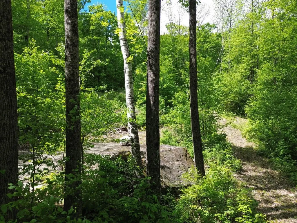 197 Sugar Ledge Road Warren VT 05674