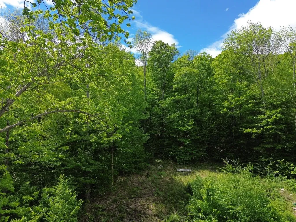 197 Sugar Ledge Road Warren VT 05674