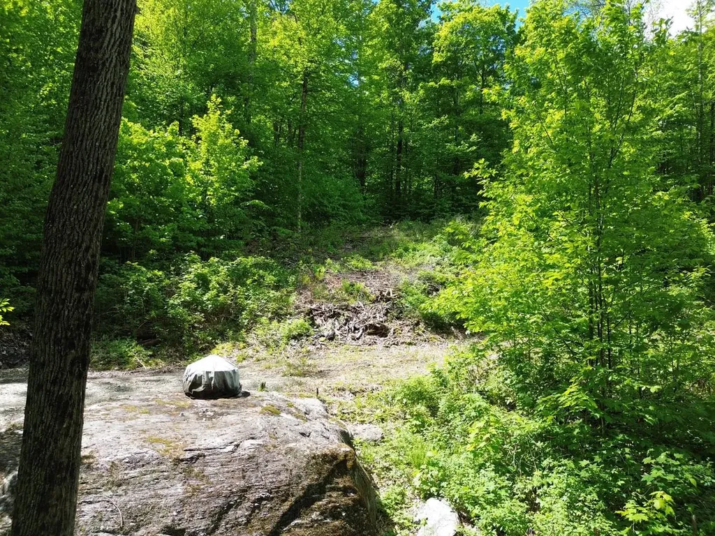 197 Sugar Ledge Road Warren VT 05674