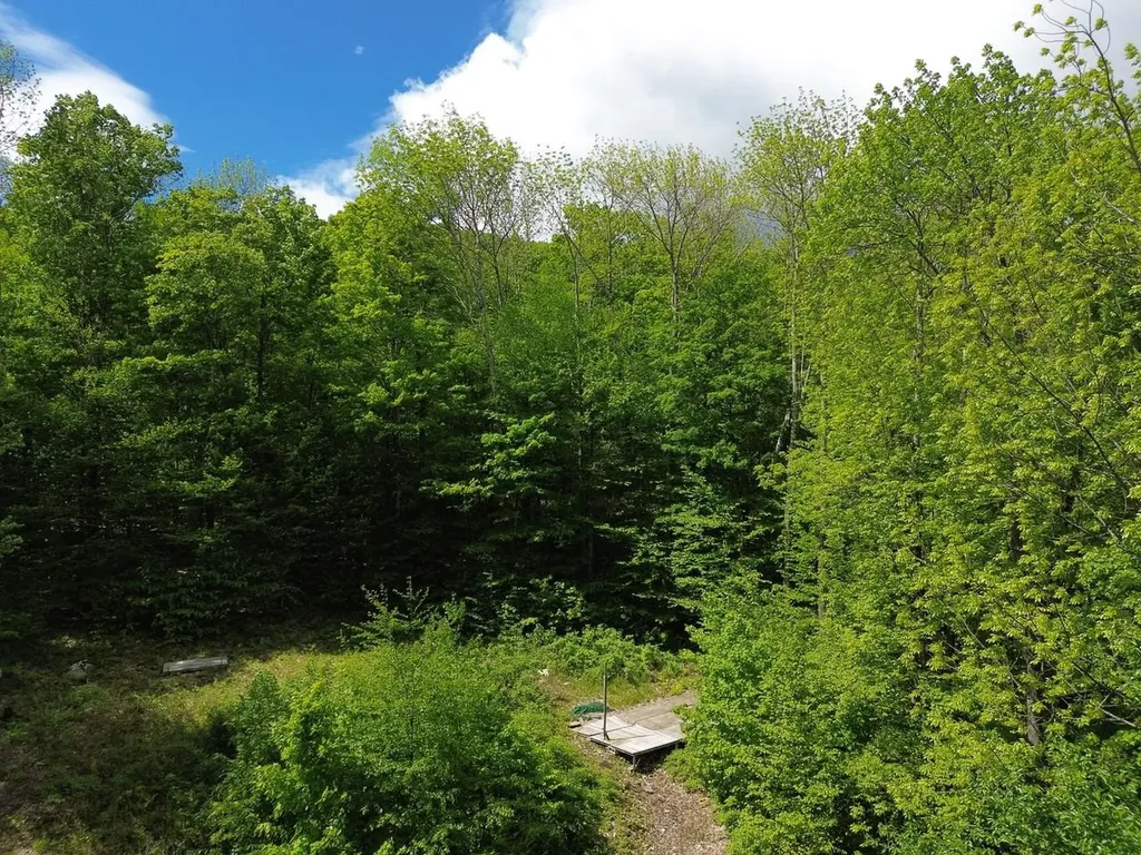 197 Sugar Ledge Road Warren VT 05674