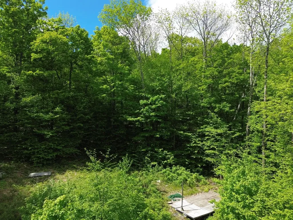 197 Sugar Ledge Road Warren VT 05674
