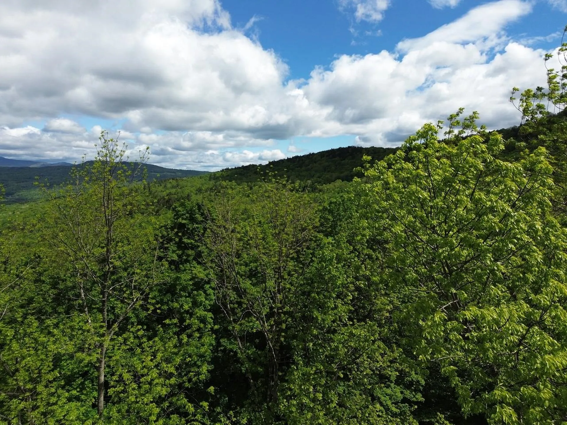 197 Sugar Ledge Road Warren VT 05674