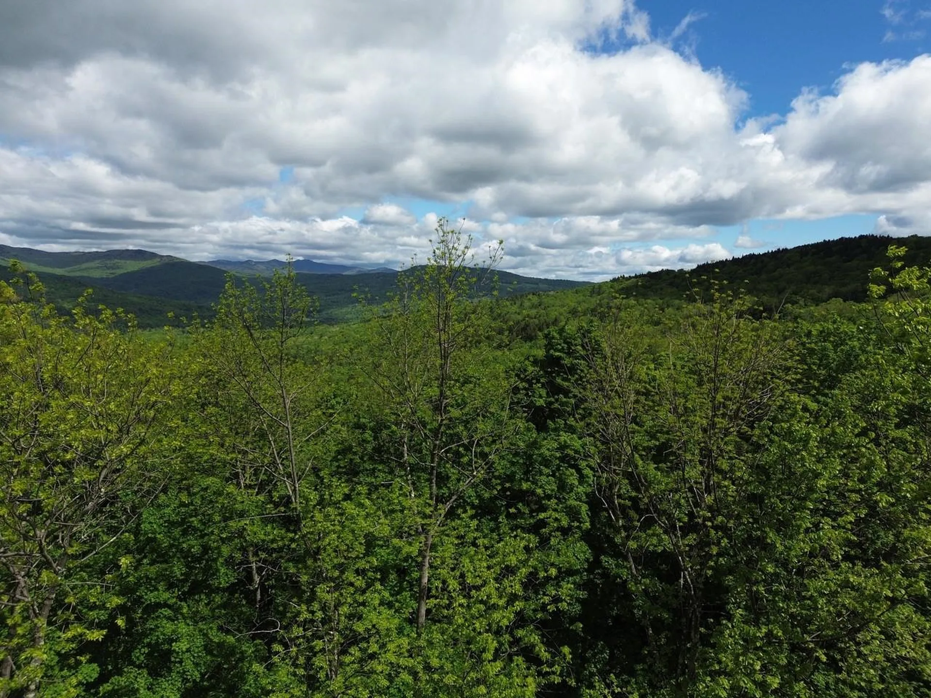 197 Sugar Ledge Road Warren VT 05674
