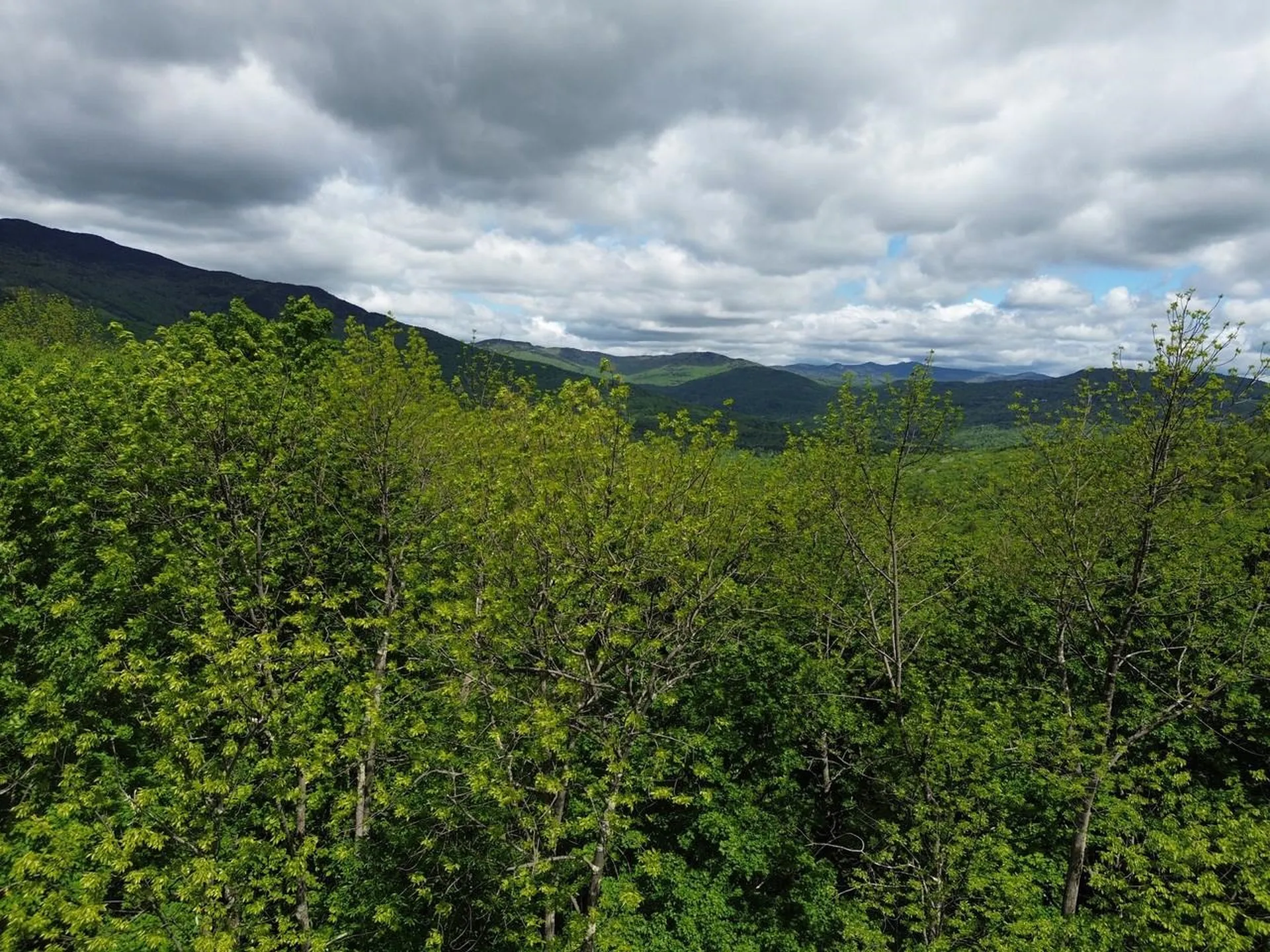 197 Sugar Ledge Road Warren VT 05674
