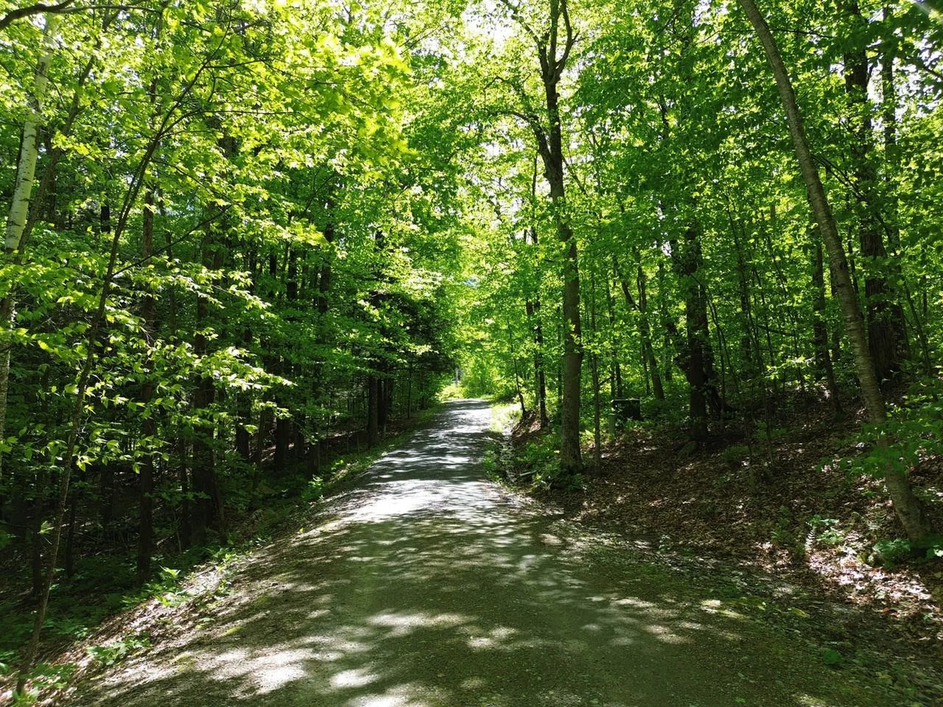 197 Sugar Ledge Road Warren VT 05674