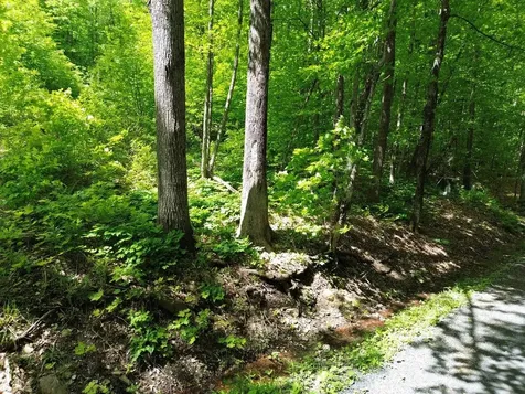 197 Sugar Ledge Road Warren VT 05674