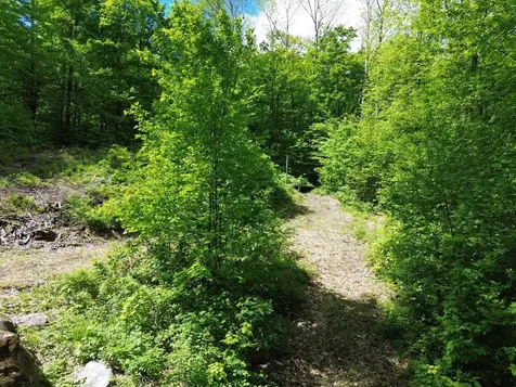 197 Sugar Ledge Road Warren VT 05674
