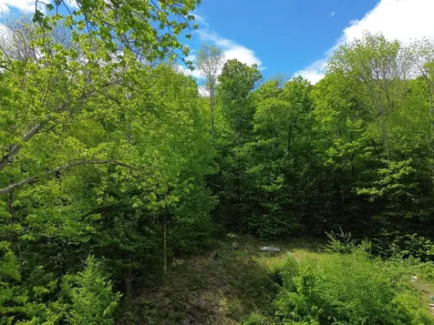 197 Sugar Ledge Road Warren VT 05674