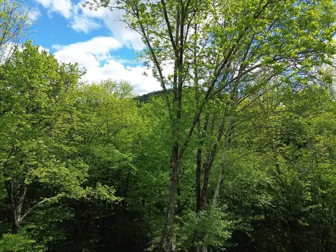 197 Sugar Ledge Road Warren VT 05674