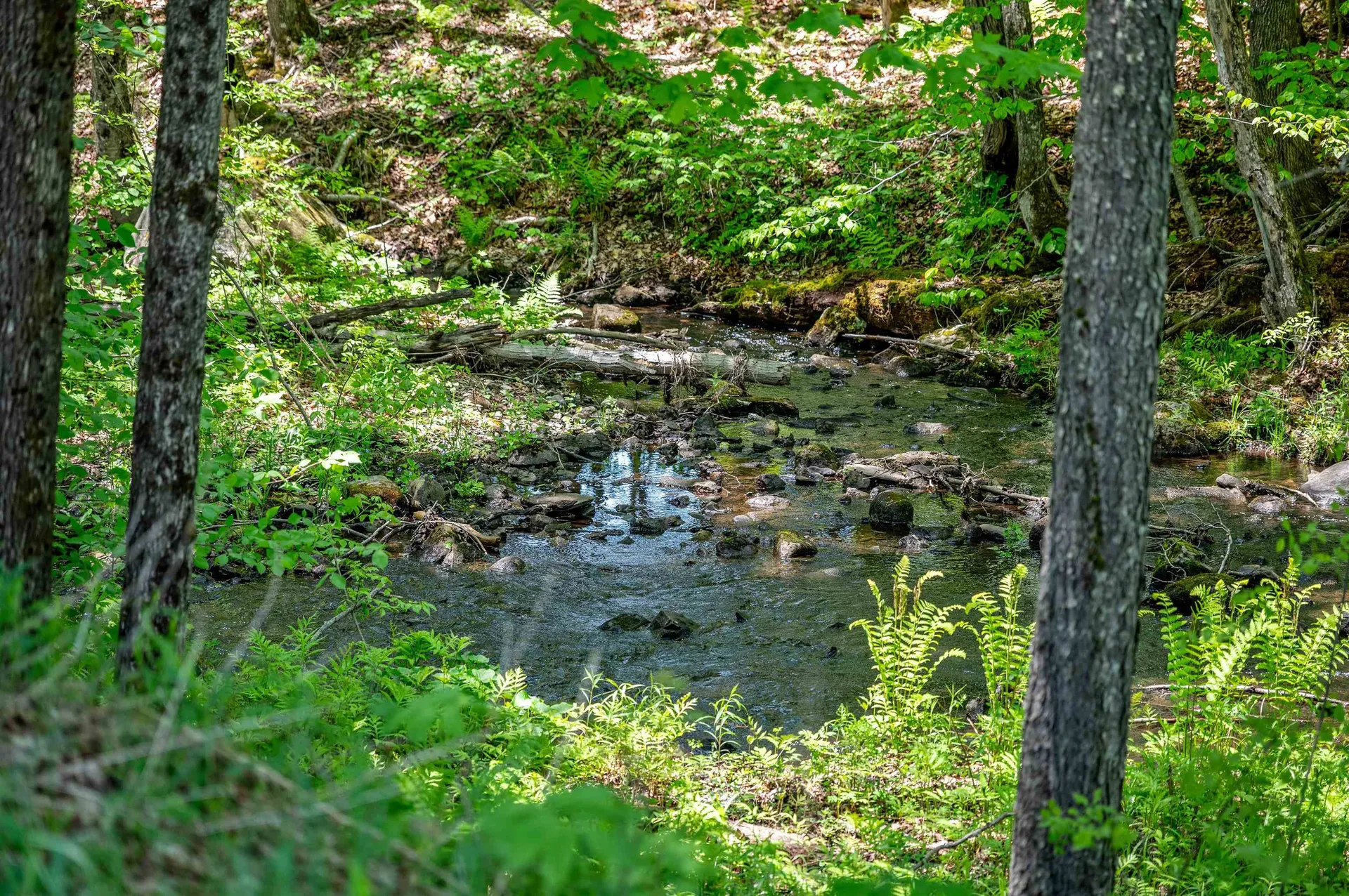125 Bean Road Plainfield VT 05667