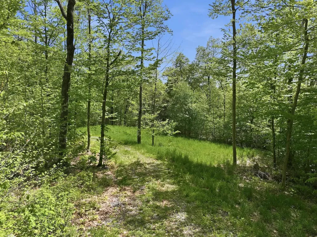 189 Shagbark Lane Williston VT 05495