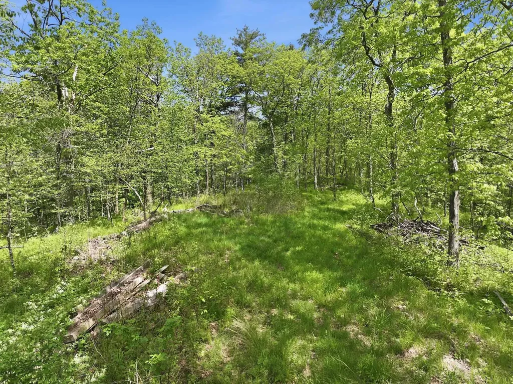 189 Shagbark Lane Williston VT 05495