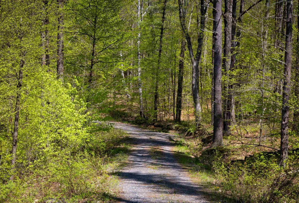189 Shagbark Lane Williston VT 05495