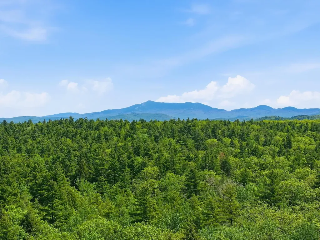 189 Shagbark Lane Williston VT 05495