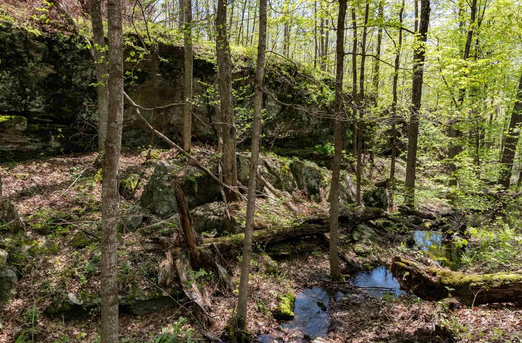 189 Shagbark Lane Williston VT 05495