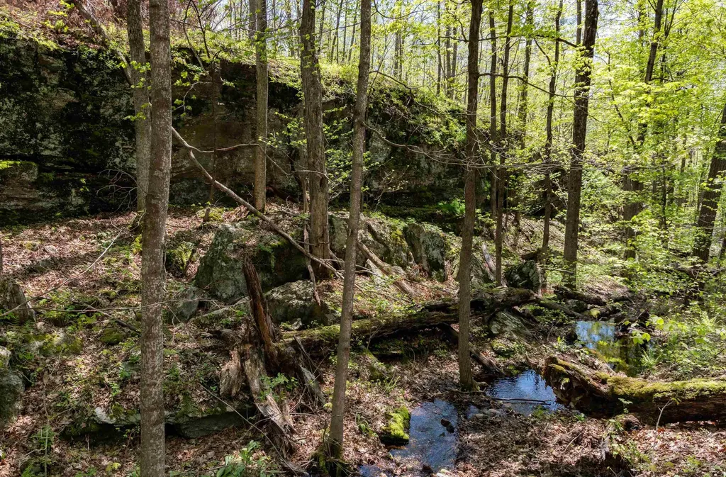 189 Shagbark Lane Williston VT 05495