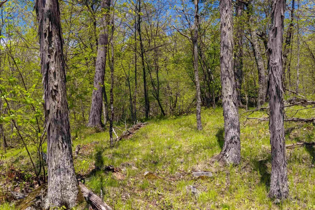 189 Shagbark Lane Williston VT 05495