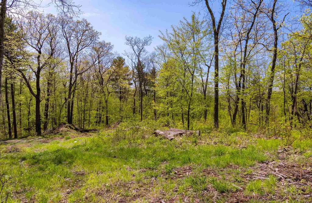 189 Shagbark Lane Williston VT 05495