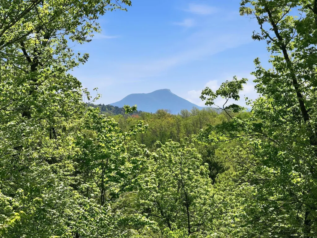 189 Shagbark Lane Williston VT 05495