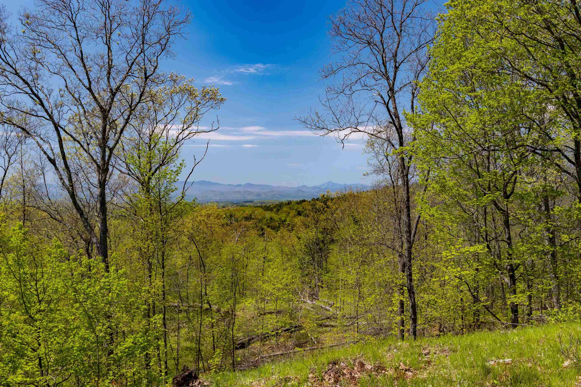 189 Shagbark Lane Williston VT 05495