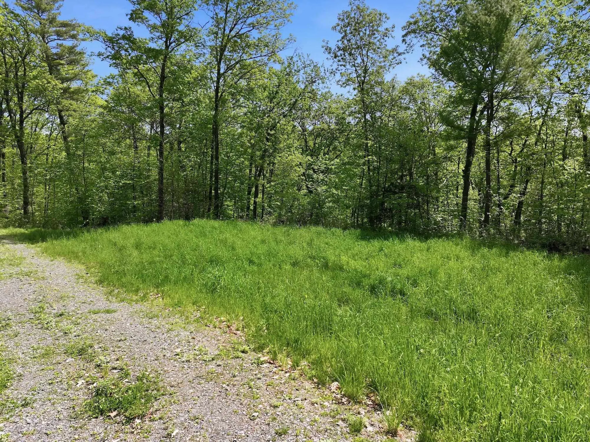 189 Shagbark Lane Williston VT 05495