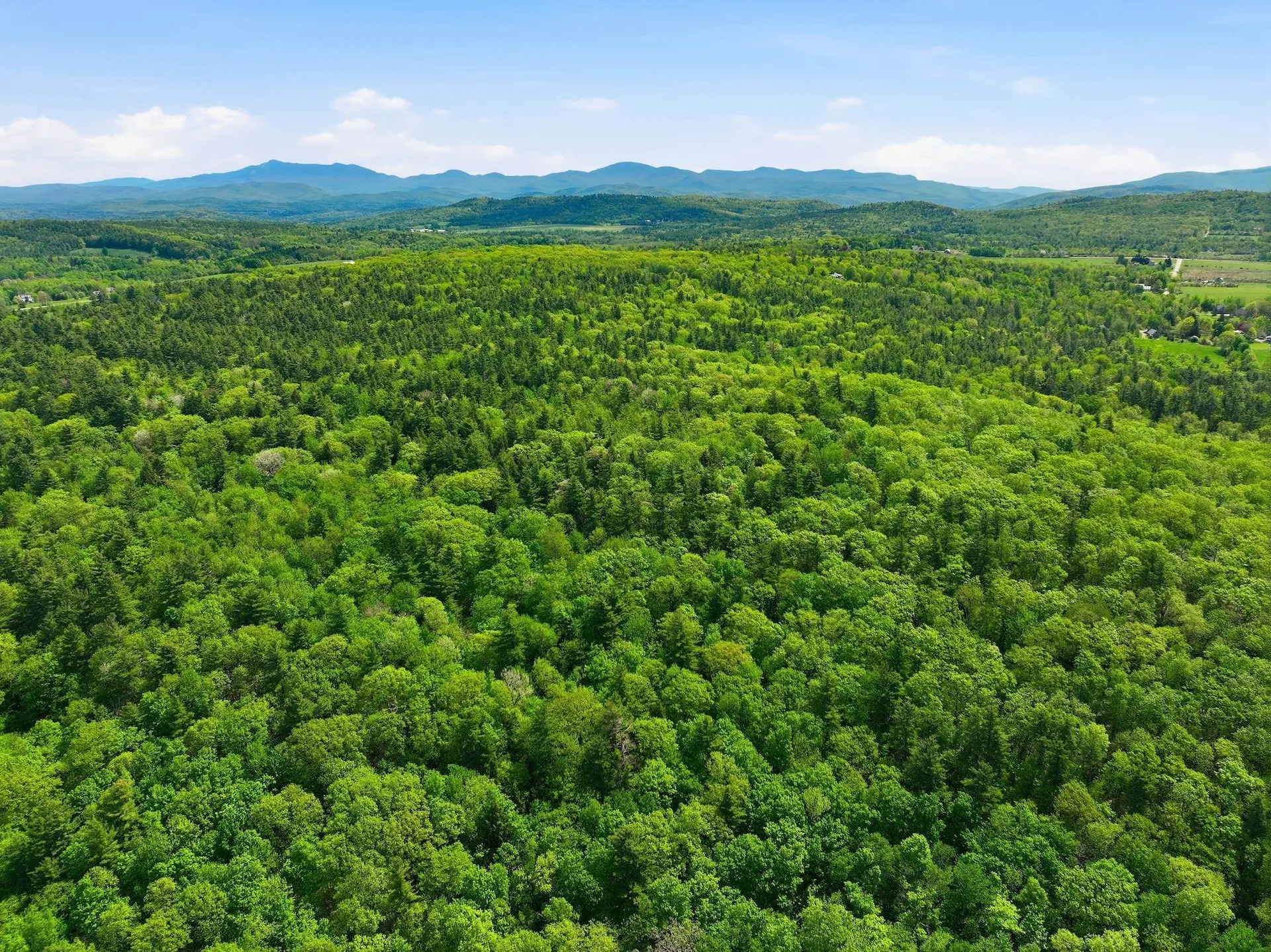 189 Shagbark Lane Williston VT 05495