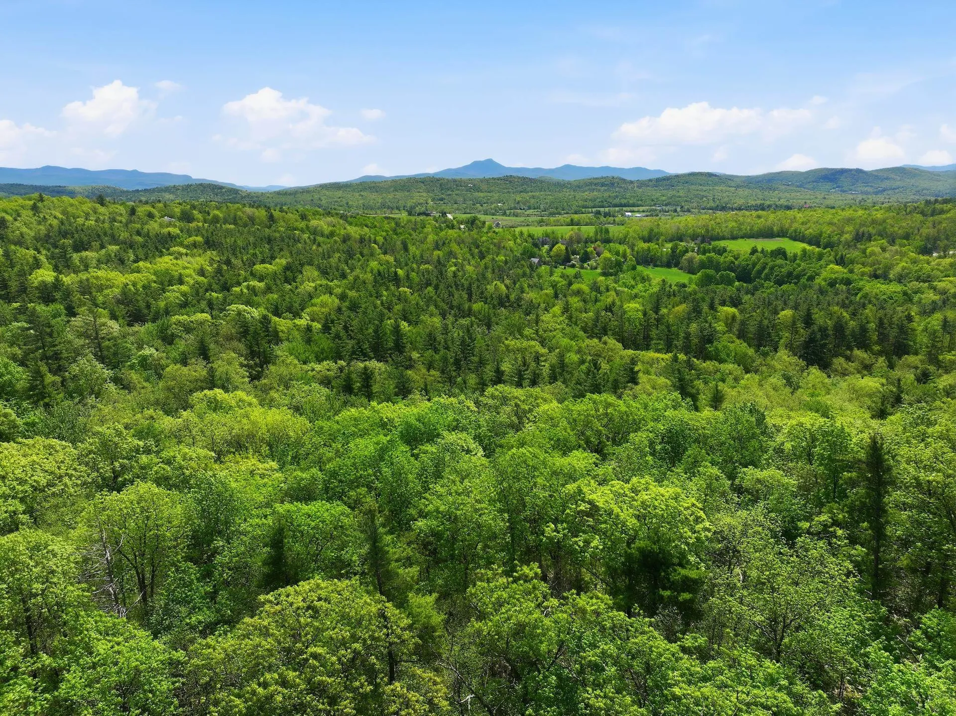 189 Shagbark Lane Williston VT 05495