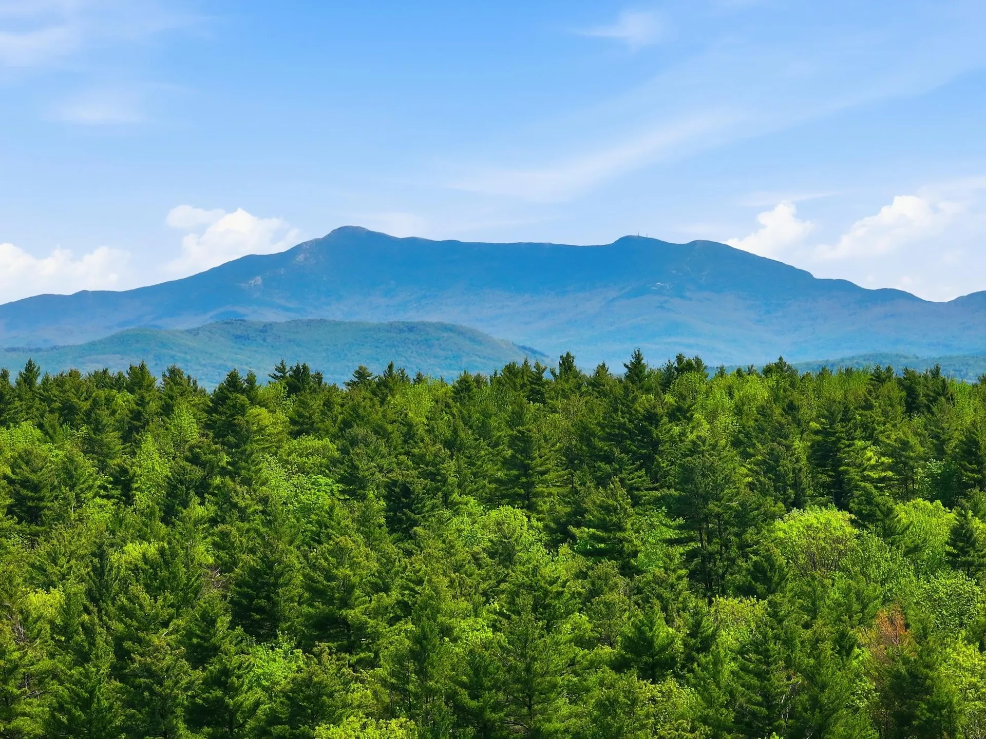 189 Shagbark Lane Williston VT 05495