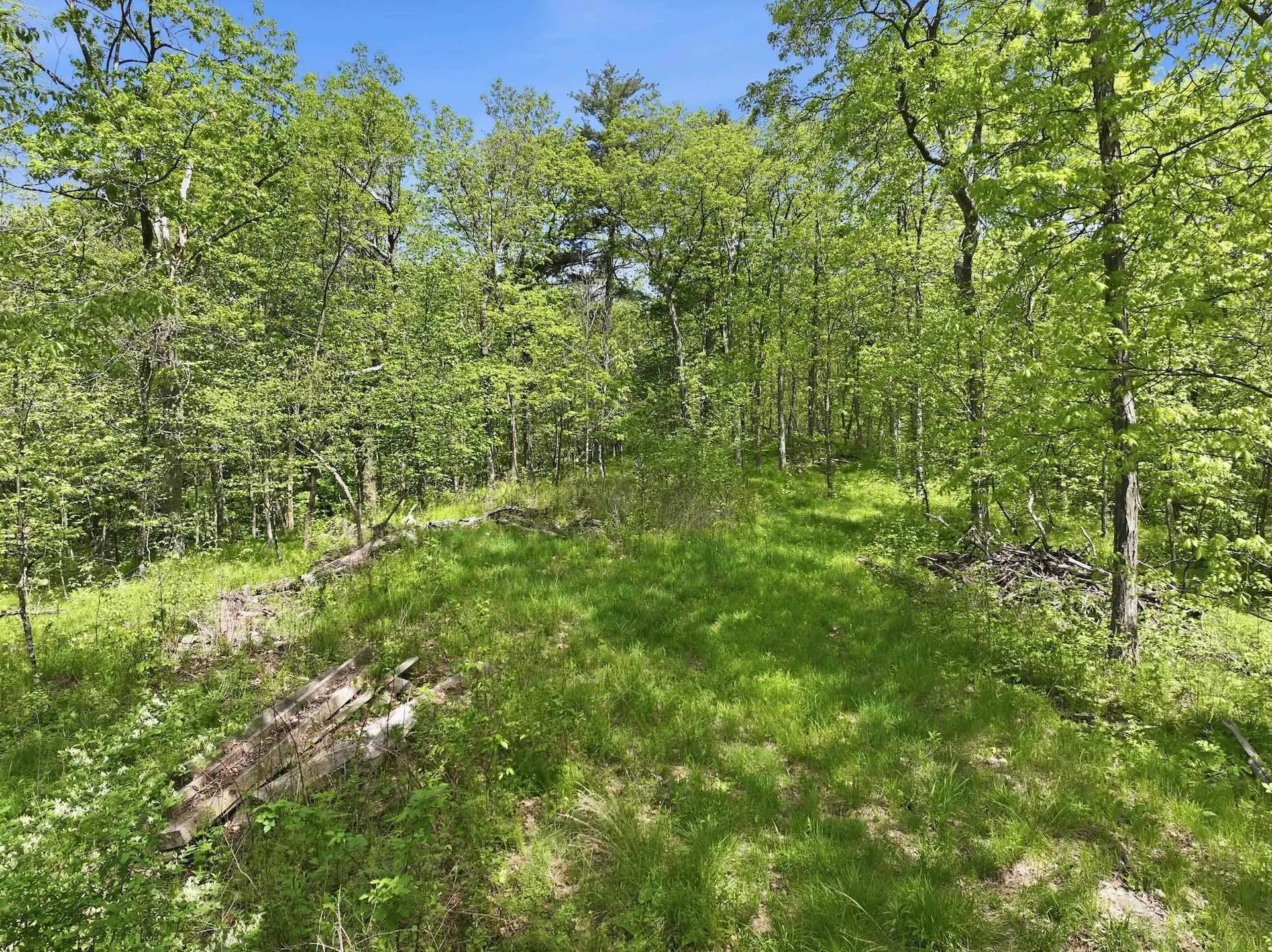 189 Shagbark Lane Williston VT 05495