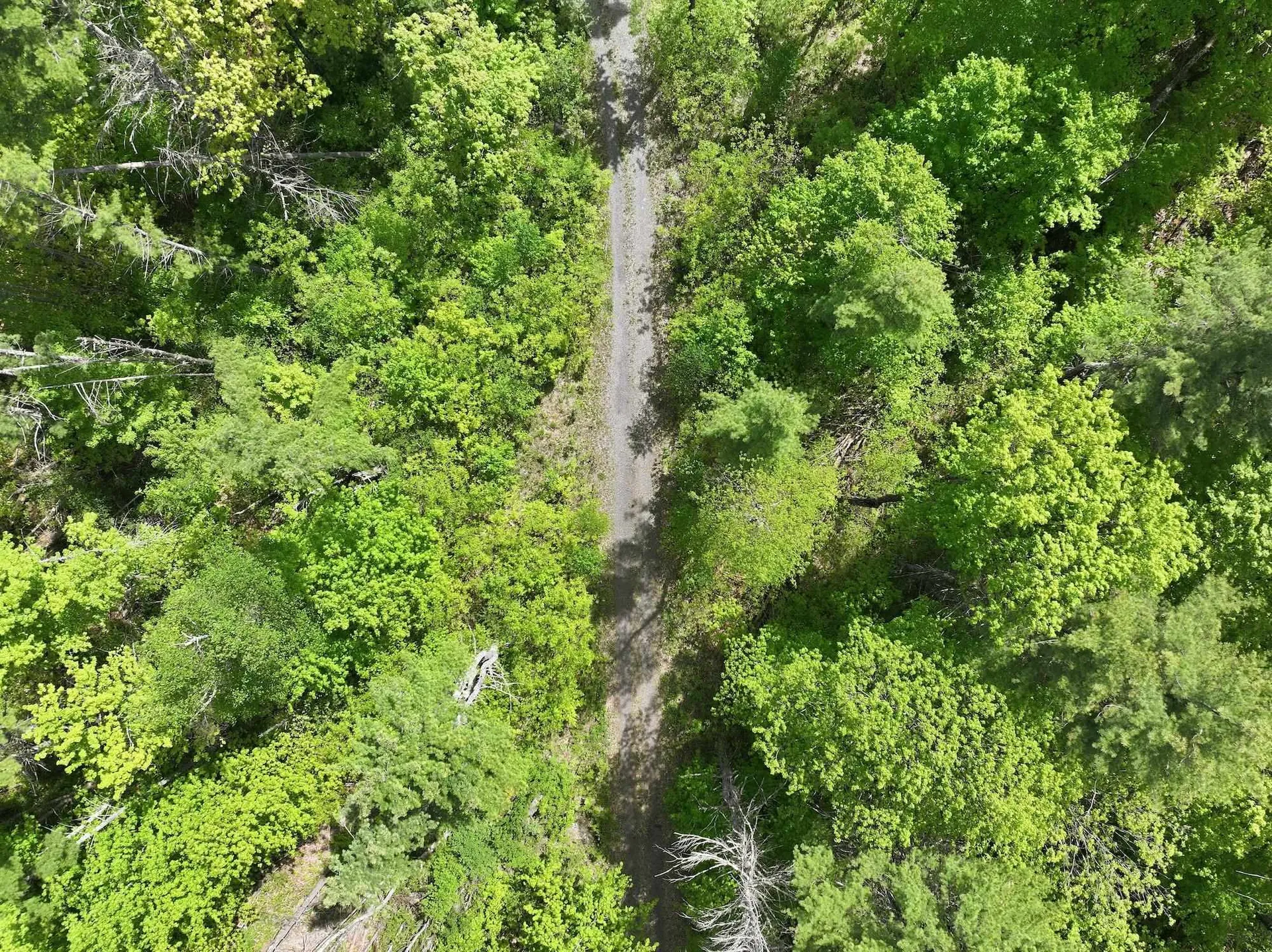 189 Shagbark Lane Williston VT 05495