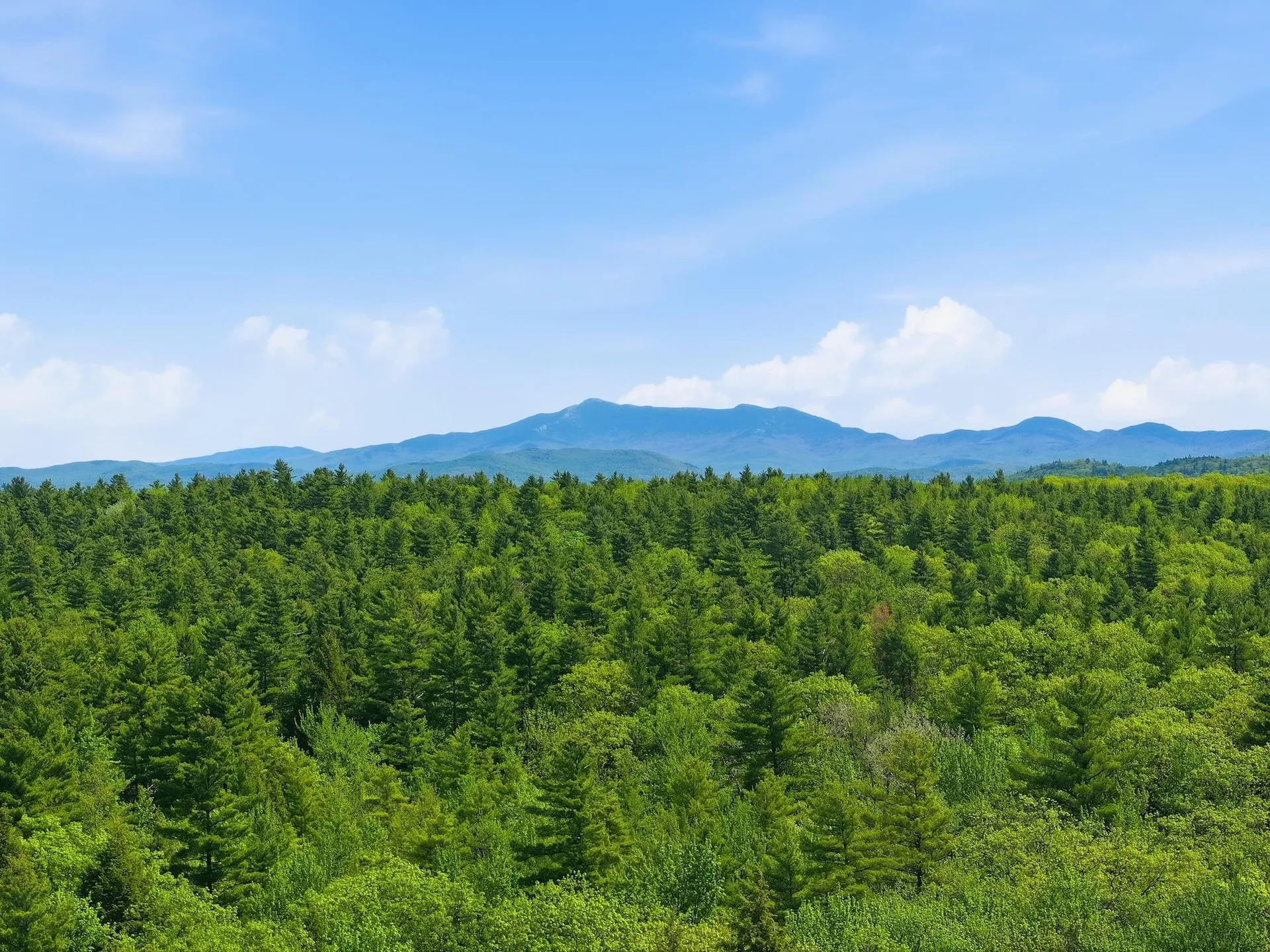 189 Shagbark Lane Williston VT 05495
