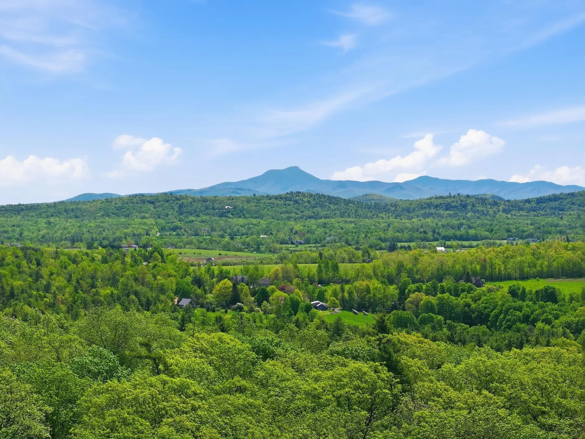 189 Shagbark Lane Williston VT 05495