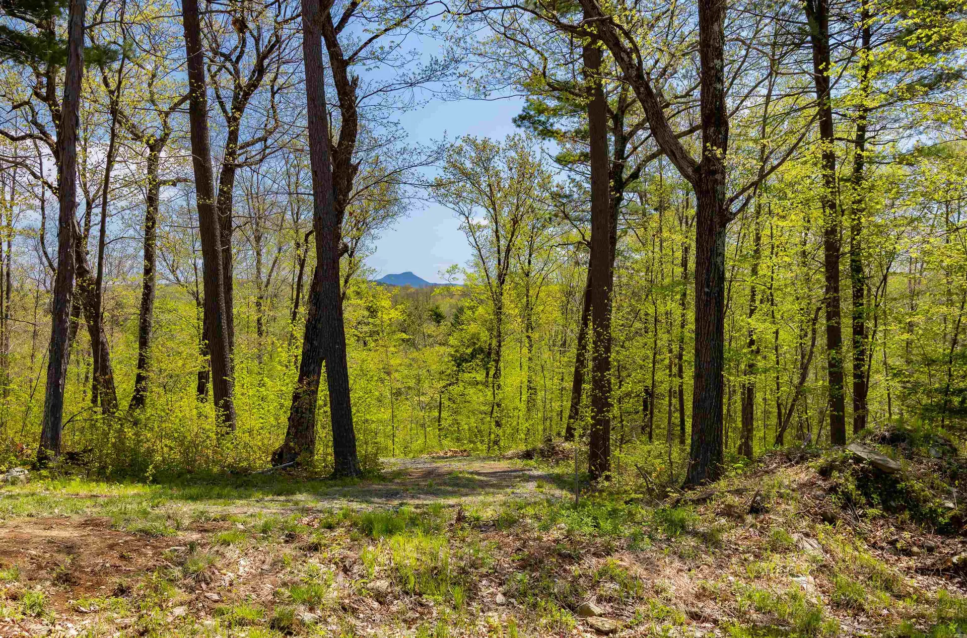 189 Shagbark Lane Williston VT 05495
