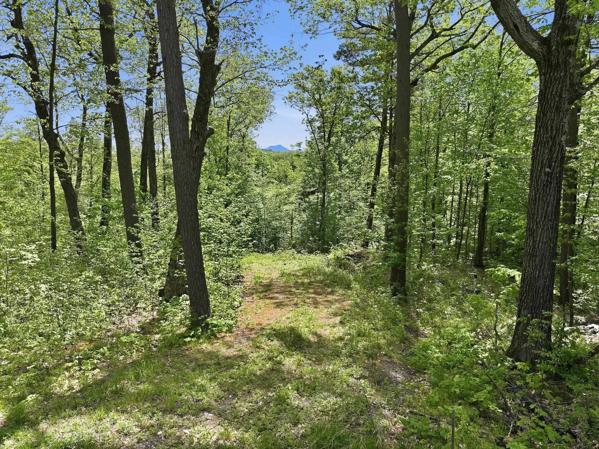 189 Shagbark Lane Williston VT 05495